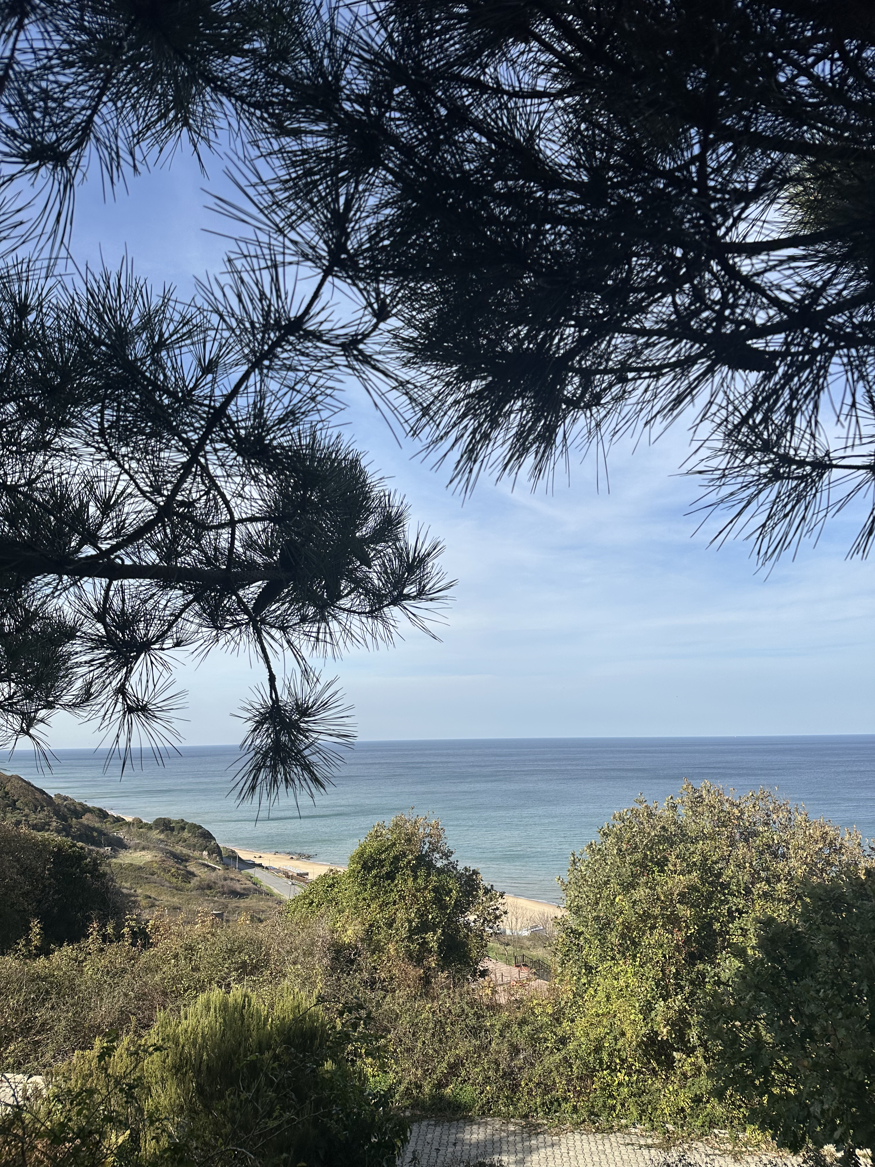 Plastik toplama alanı